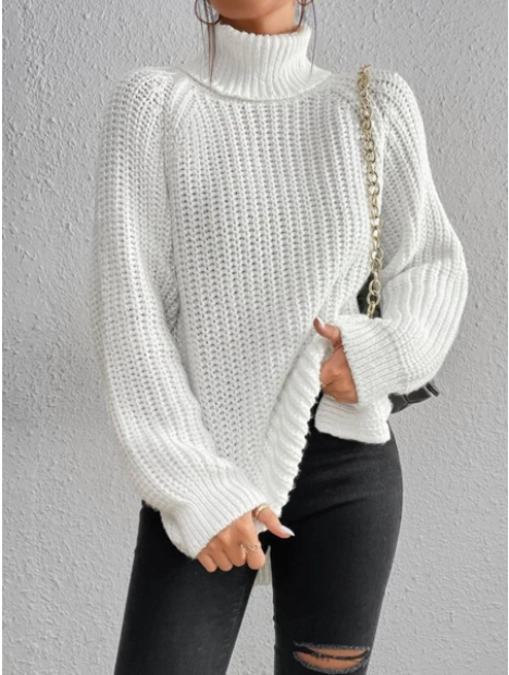 Maaike Cozy Knit Turtleneck Sweater