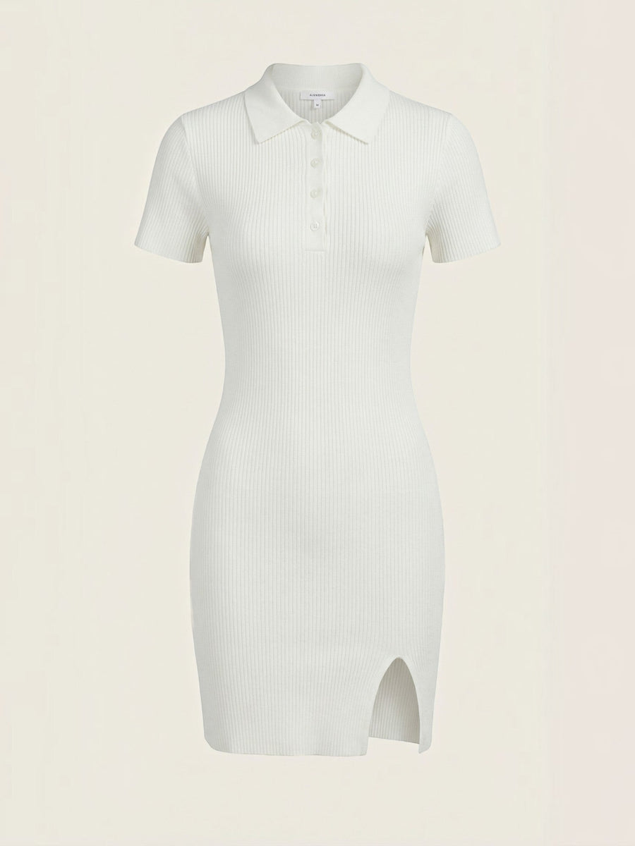 Zara Ribbed Knit Polo Mini Dress