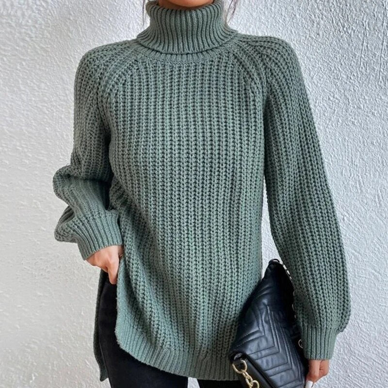Maaike Cozy Knit Turtleneck Sweater