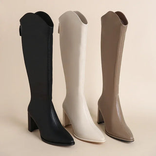 Adeline - Knee-high boots - Pointed toe