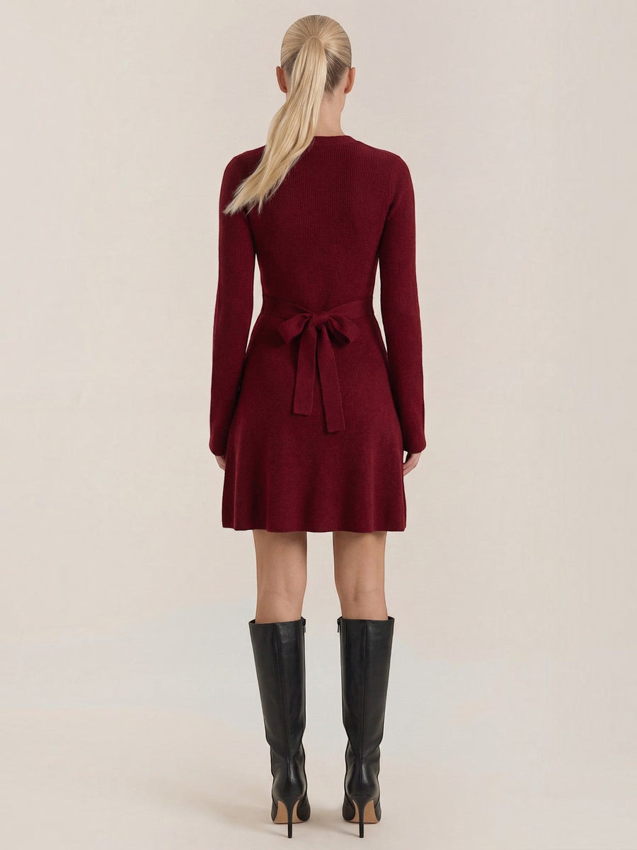Geneva Turtleneck Flared Knit Mini Dress