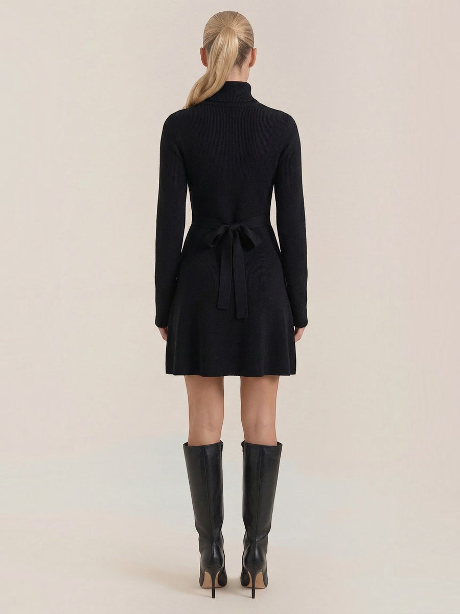Geneva Turtleneck Flared Knit Mini Dress