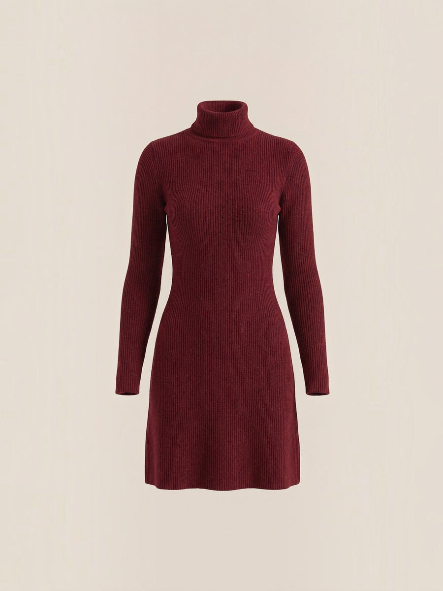 Geneva Turtleneck Flared Knit Mini Dress