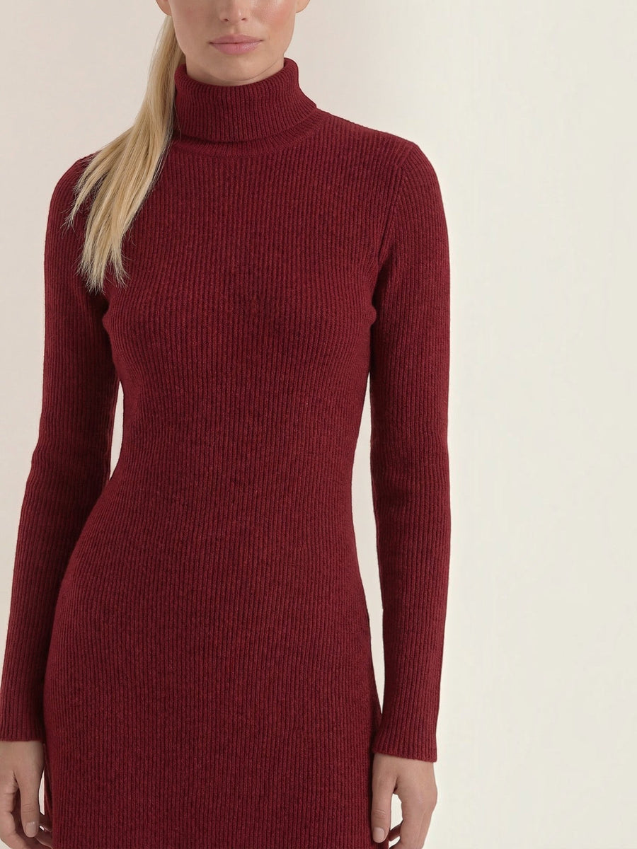 Geneva Turtleneck Flared Knit Mini Dress