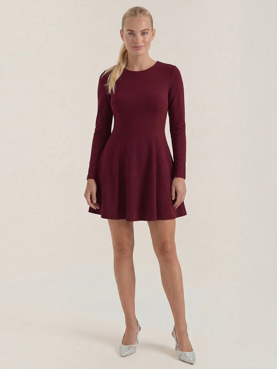 Ebony Long Sleeve Fit and Flare Mini Dress