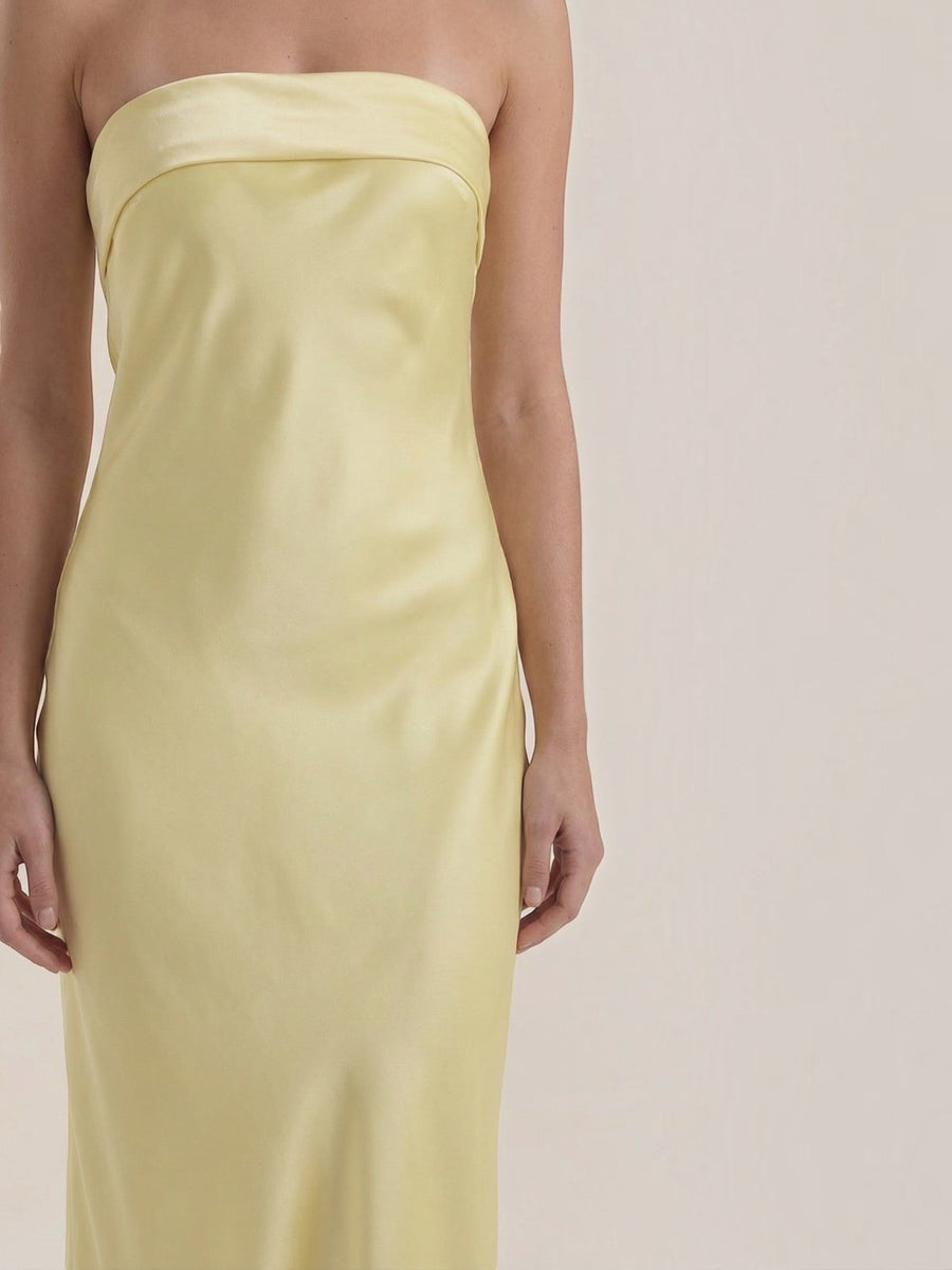 Elsa Strapless Fitted Maxi Evening Dress