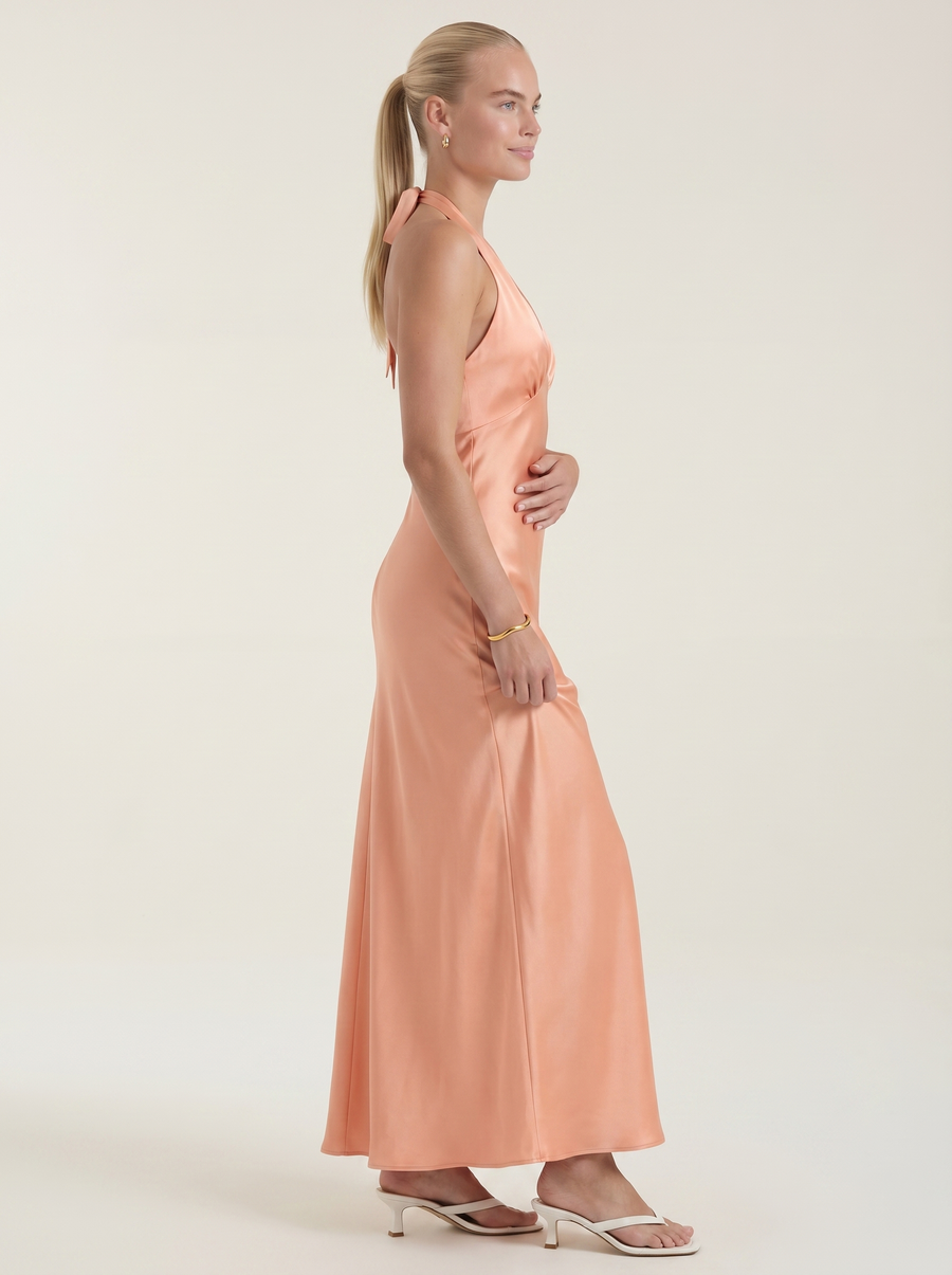 Essie Shimmer Halter Neck Open Back Maxi Dress