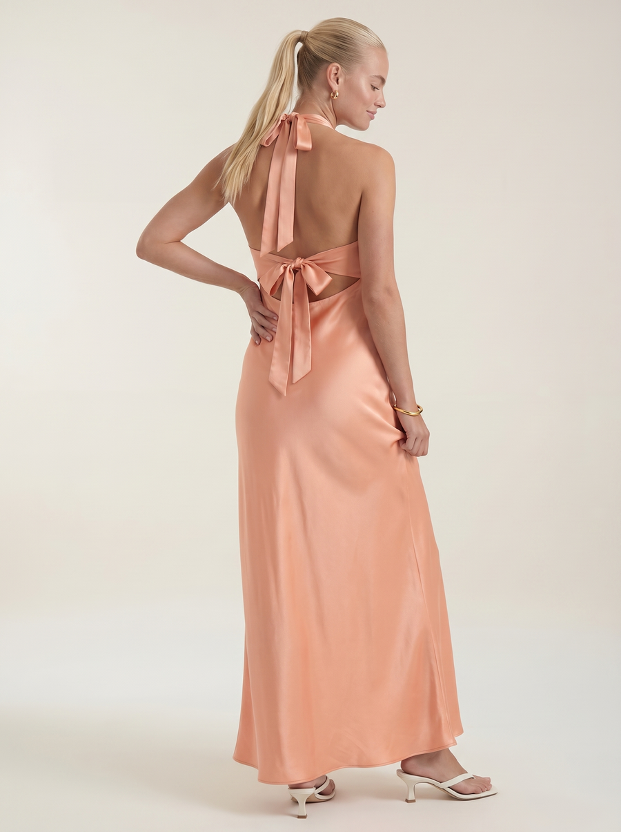 Essie Shimmer Halter Neck Open Back Maxi Dress