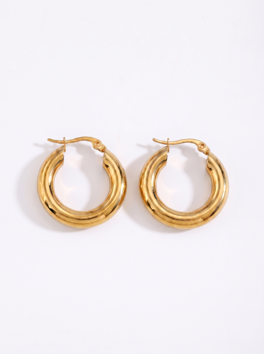 Johanna Chunky Round Hoop Earrings