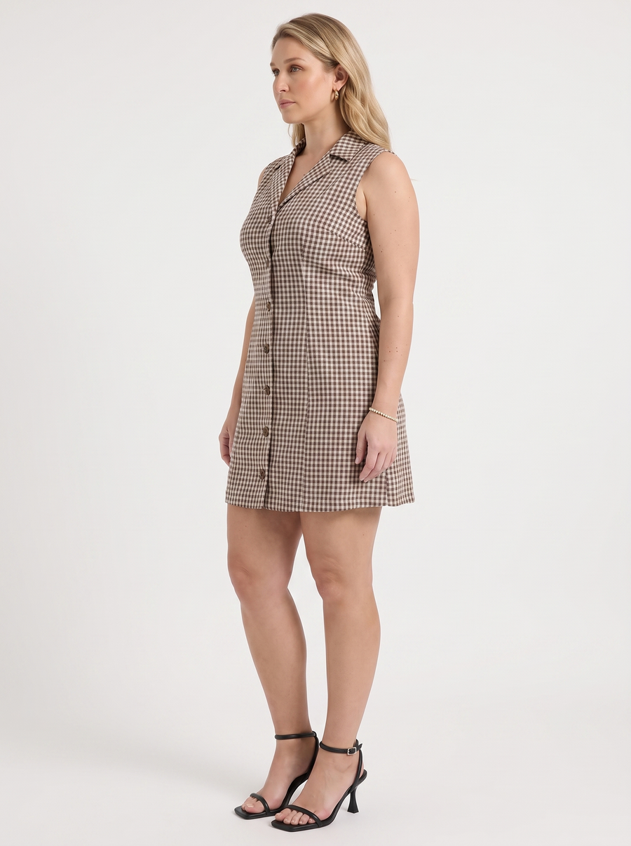 Mimi Plaid Lapel Collar Mini Dress