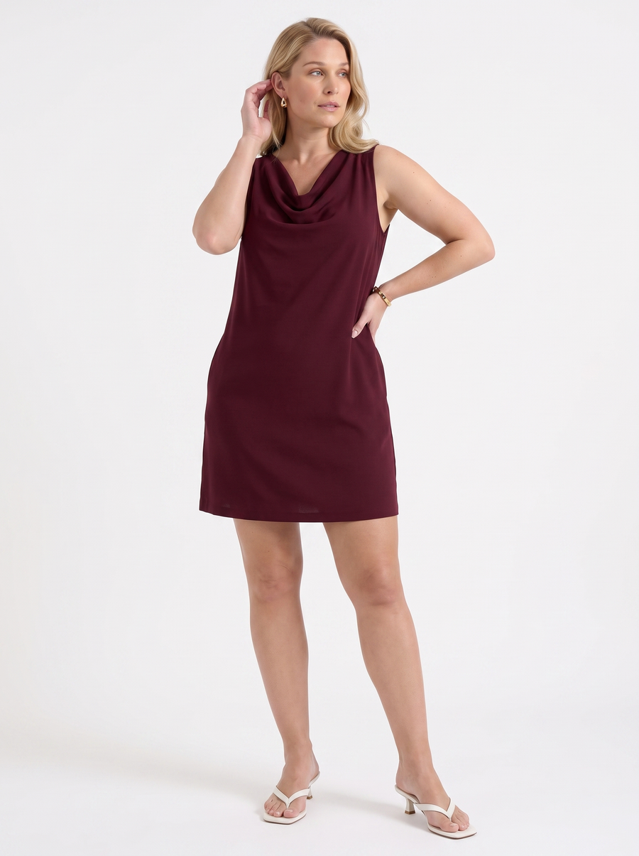 Leela Cowl Neck Sleeveless Mini Dress