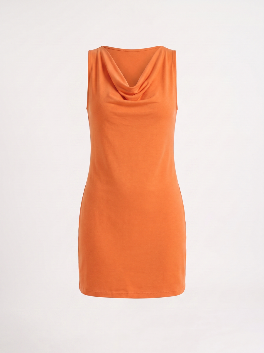 Leela Cowl Neck Sleeveless Mini Dress
