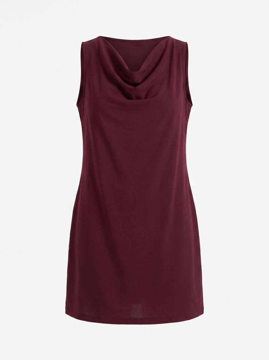 Leela Cowl Neck Sleeveless Mini Dress