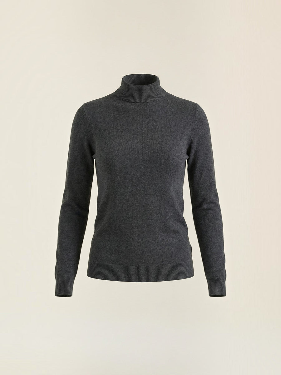 Constance Ribbed Turtleneck Sweater